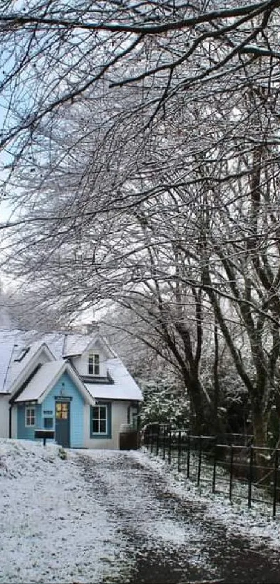 Snowy path leads to a charming winter cottage.