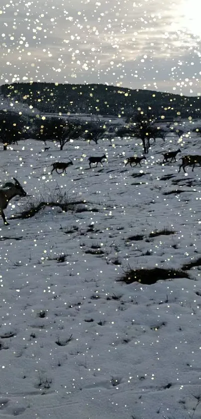 Deer roaming in snow-covered landscape under cloudy sky.