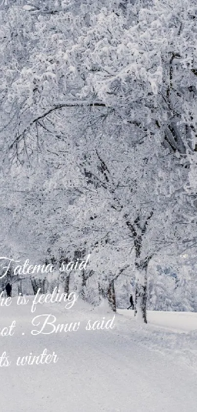 Serene winter landscape with frosted trees and snow-covered ground.