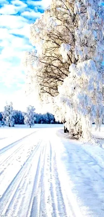 Snowy landscape with frosted trees under a vibrant blue sky.