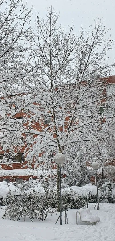 Snow-covered trees in a peaceful urban winter scene with a brick building.