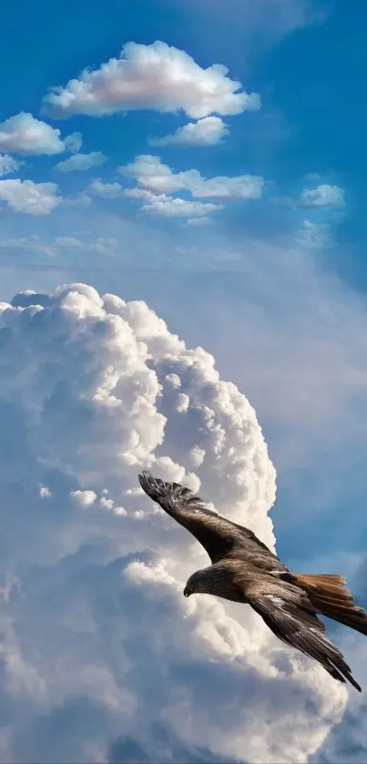 Bird soaring over fluffy clouds in a blue sky.