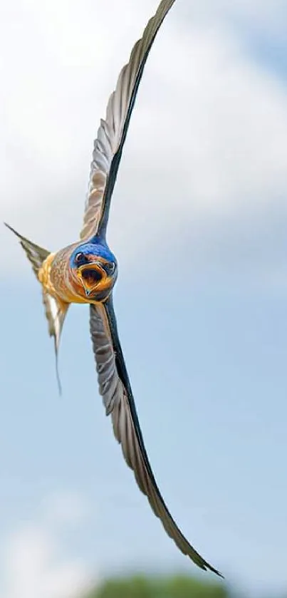 A bird soaring through a bright, clear sky, captured in mid-flight.