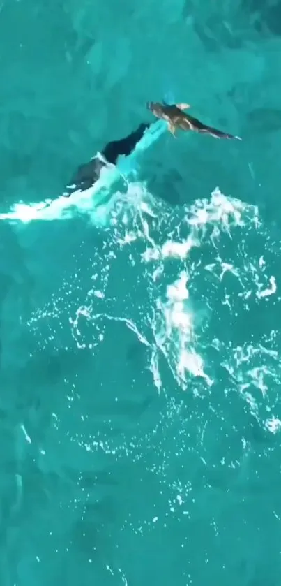 Bird soaring over a vibrant turquoise ocean with splashing waves.