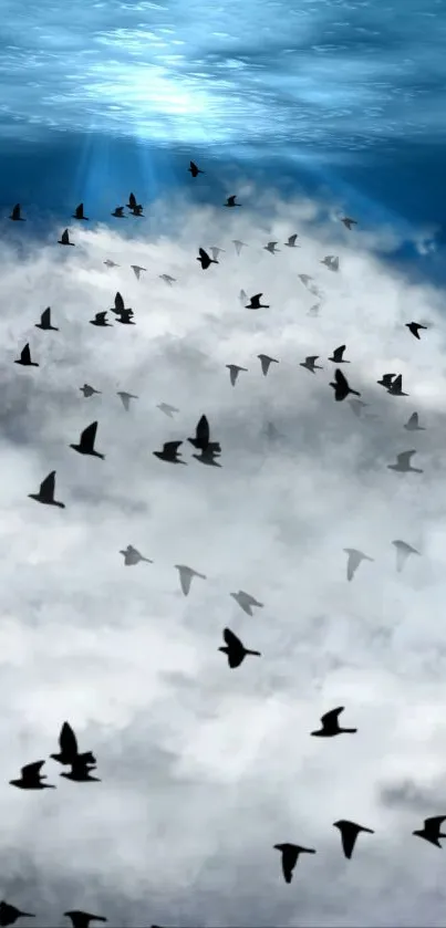 Flock of birds flying through blue sky and clouds.