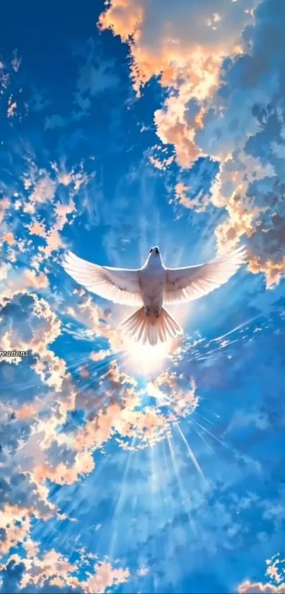 A dove soars through a radiant sunlit sky and clouds.