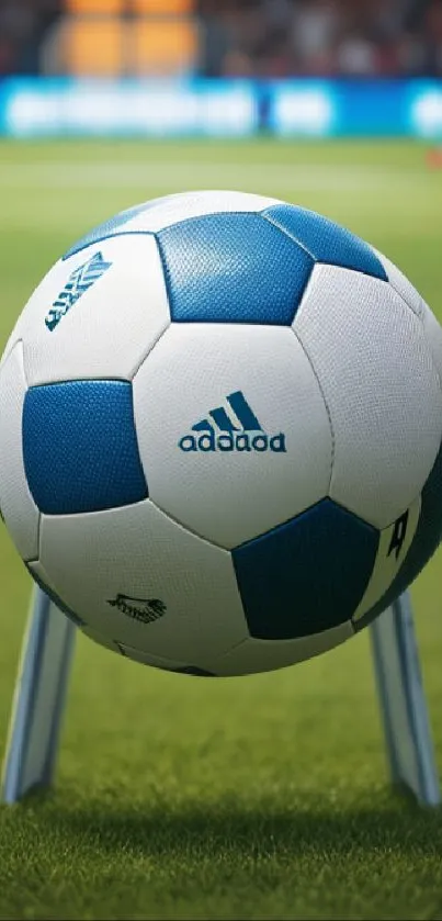 Soccer ball on green field, close-up view.