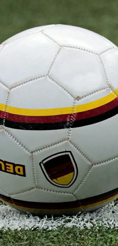 Soccer ball resting on green field grass.