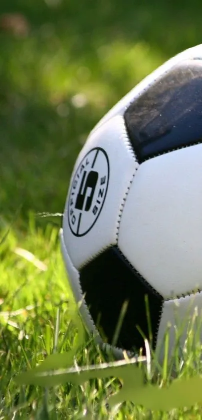 Black and white soccer ball on green grass field.