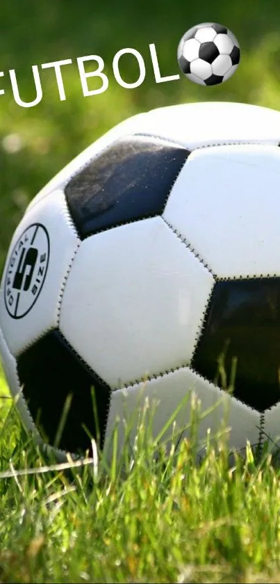 Soccer ball on green grass with fun text overlay.