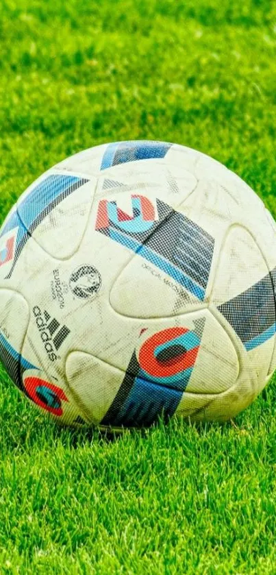 Soccer ball resting on green grass in sunlight.