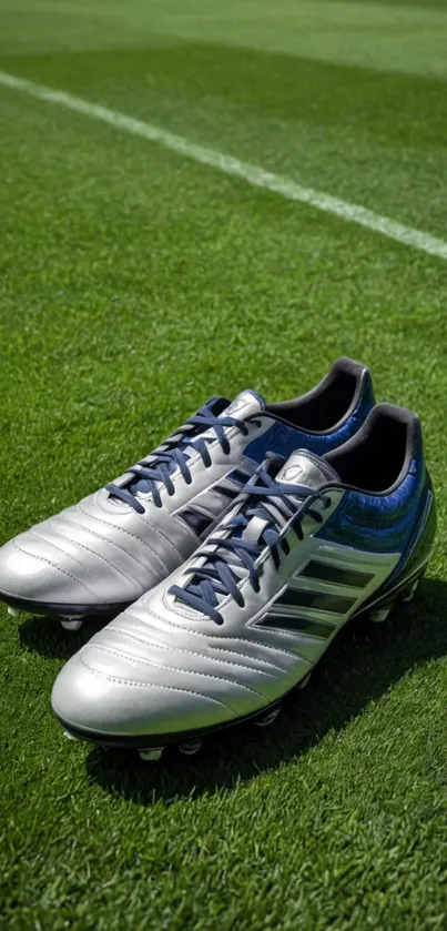 Soccer cleats resting on lush green grass field.