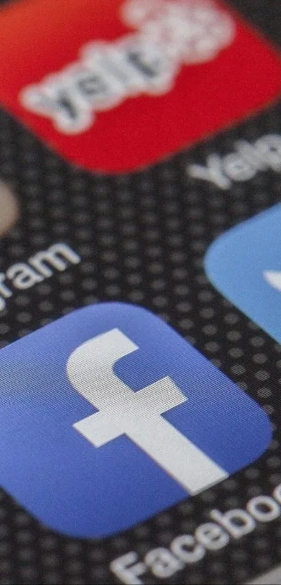 Close-up of mobile phone screen with social media app icons.