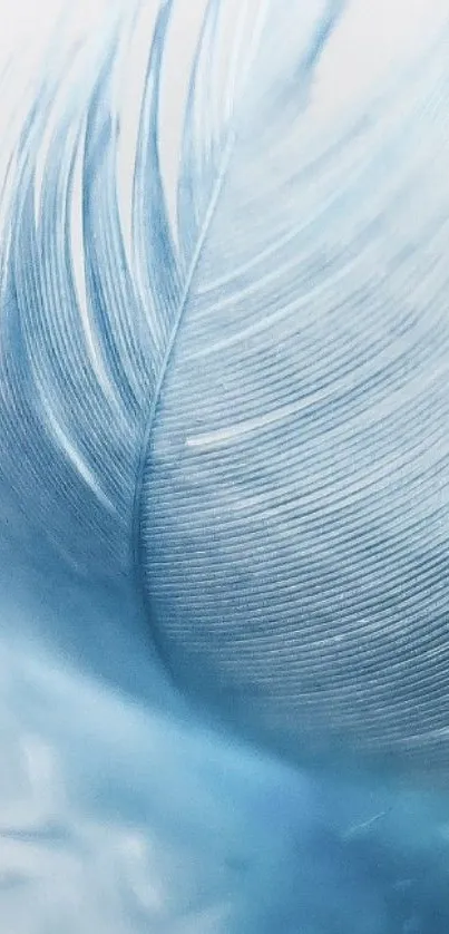 Close-up of a delicate blue feather, soft and calming.