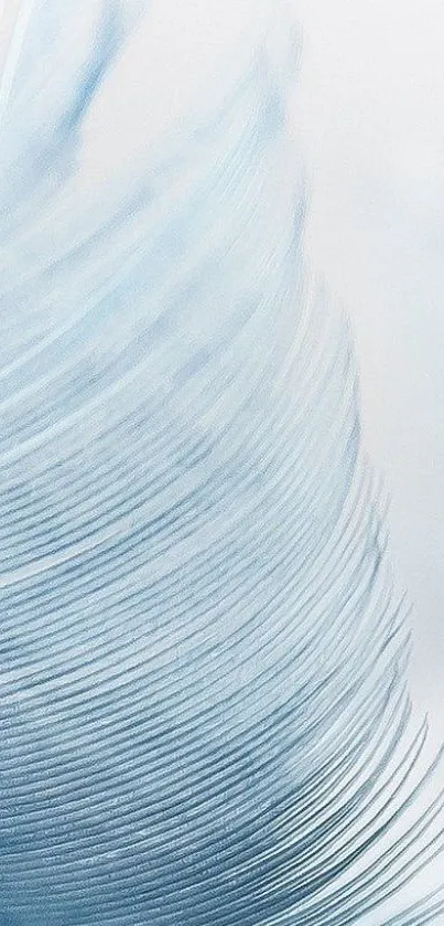 Soft blue feather with delicate texture on a light background.