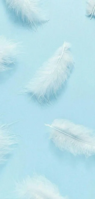 Light blue wallpaper with white feathers.