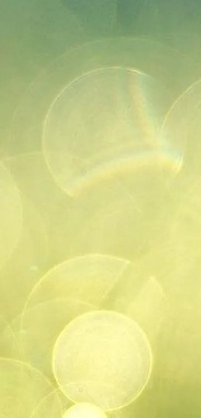 Soft light green abstract circles on a mobile wallpaper background.