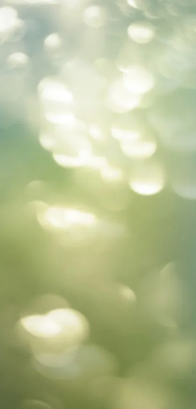 Soft green bokeh wallpaper with blurred light circles.