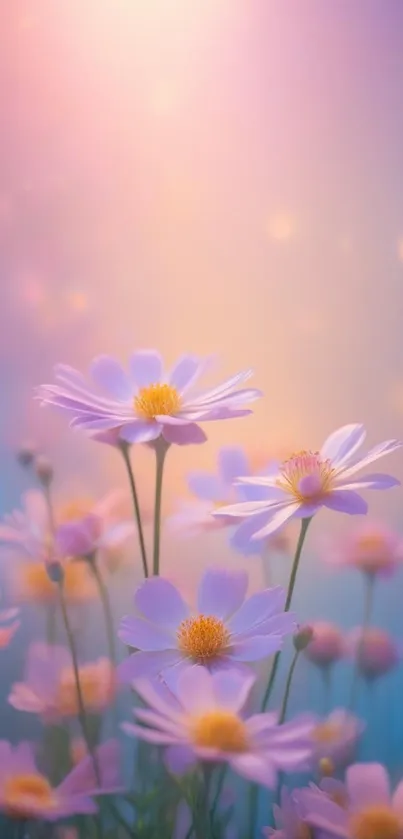 Mobile wallpaper with soft pastel flowers and a dreamy purple gradient.