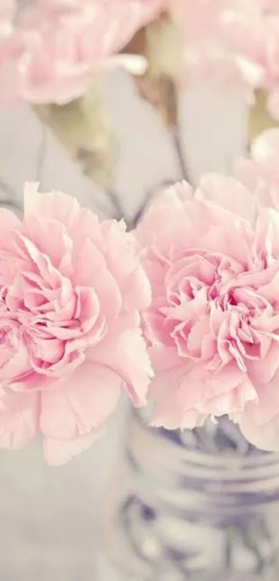 Soft pink carnations in a glass vase wallpaper.