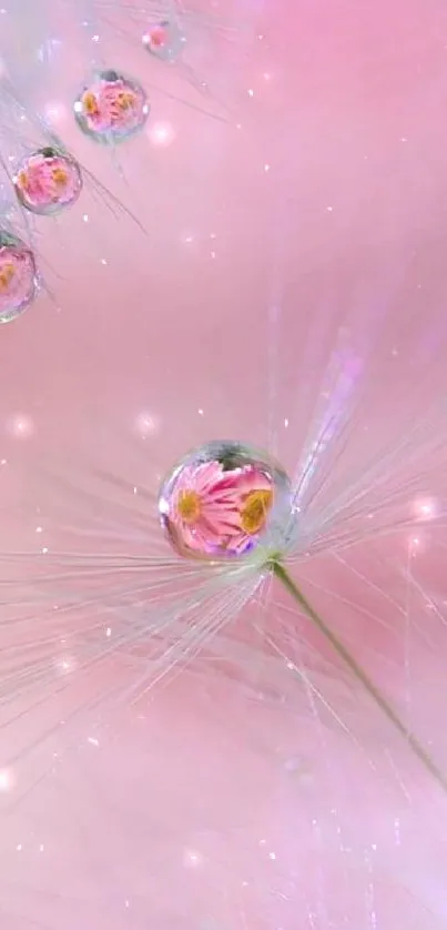 Soft pink wallpaper with floral water droplets.