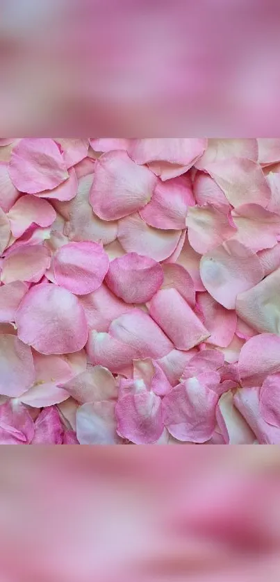 Mobile wallpaper with soft pink flower petals.