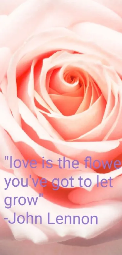 Soft pink rose with a John Lennon quote overlay.