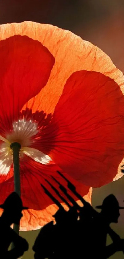 Wallpaper with red poppy and soldier silhouettes on mobile.