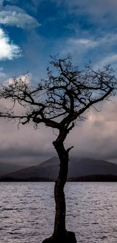 Lonely tree standing against a blue sky and serene lake.