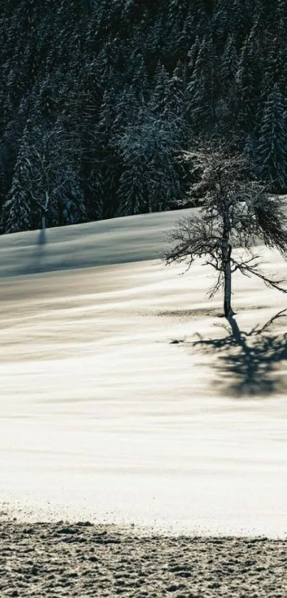 Serene winter landscape with solitary tree on snow-covered field.