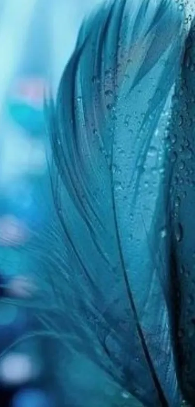 Serene blue feather with dewdrops on a soothing mobile wallpaper.