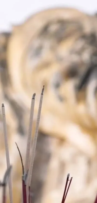 Incense sticks with an earthy, calming brown background.