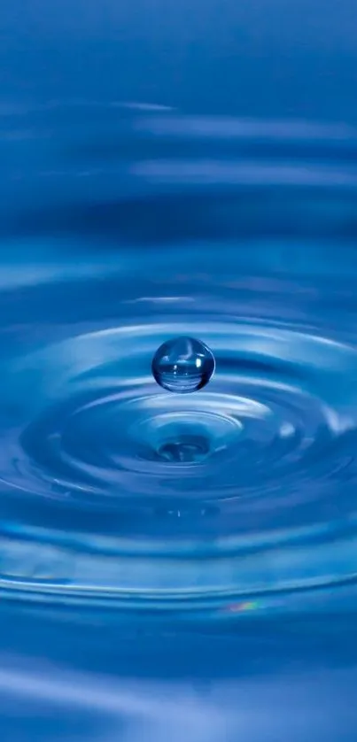 A single water drop creates ripples in a soothing blue background.