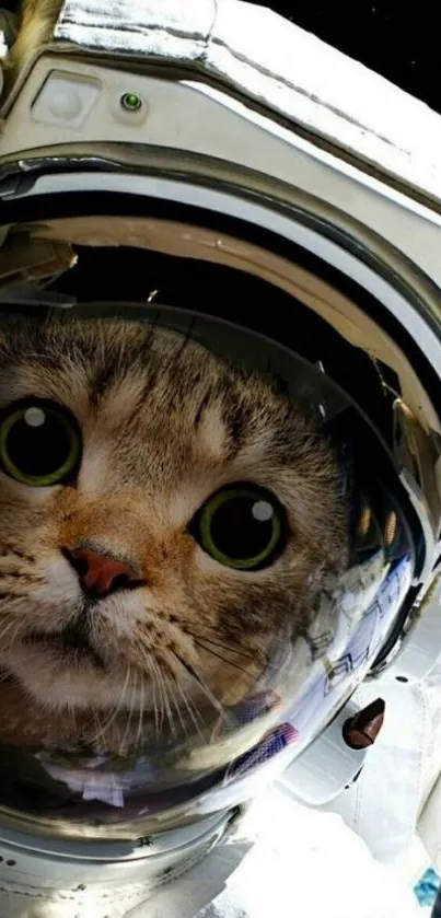 Wallpaper of a cat in an astronaut suit in space, with a cosmic background.