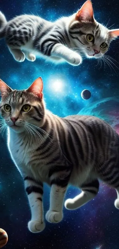 Two cats float in a colorful cosmic space scene with planets.