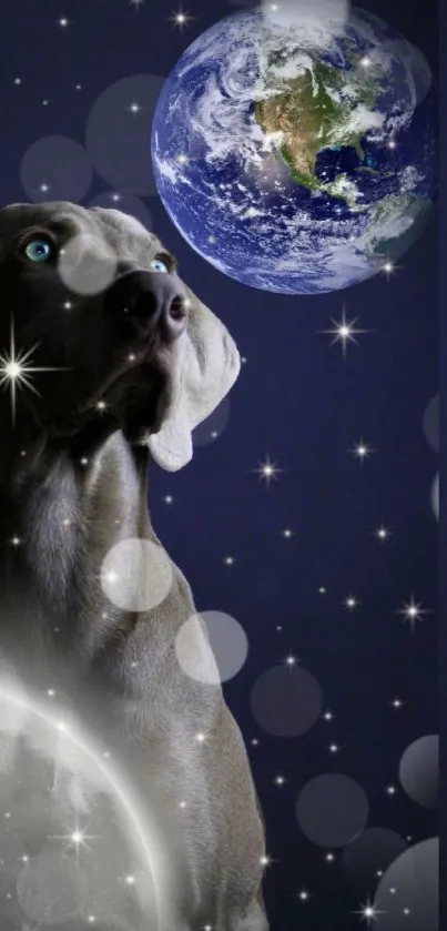 Dog gazing into space with celestial scenery, featuring planets and stars.