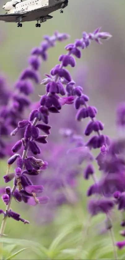 Space shuttle flying over purple lavender field.