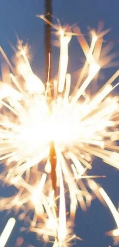 Vibrant sparkler burst on a dark background.