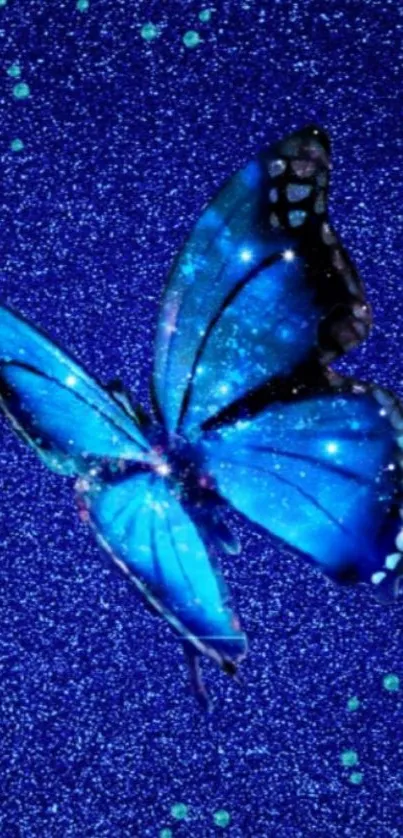 Sparkling blue butterfly on glittery blue background.