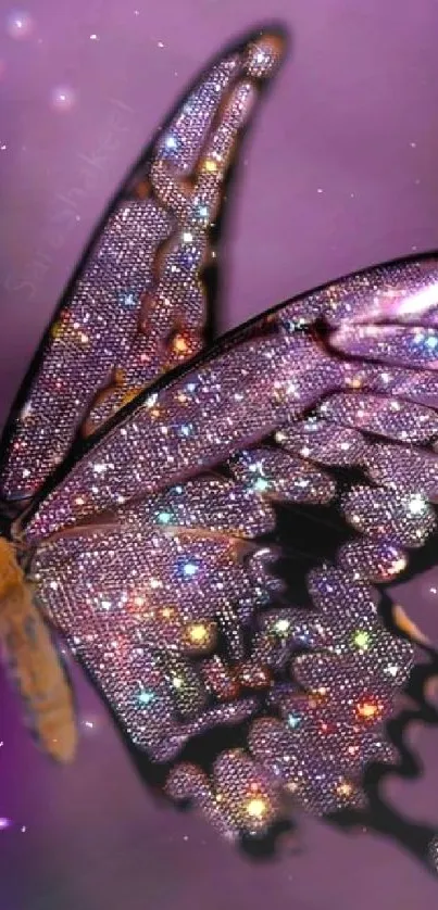 Sparkling butterfly perched on a purple flower with a dreamy background.