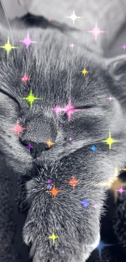 Sleeping cat with colorful sparkling stars in a dreamy wallpaper.