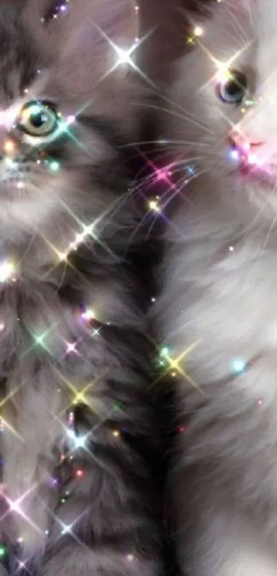 Sparkling kittens mobile wallpaper with dazzling eyes and glittery effects.