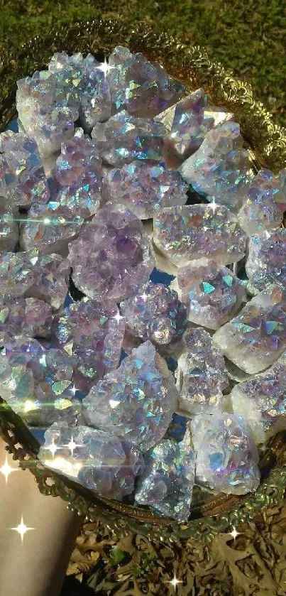 A collection of sparkling lavender crystals and gems beautifully arranged.