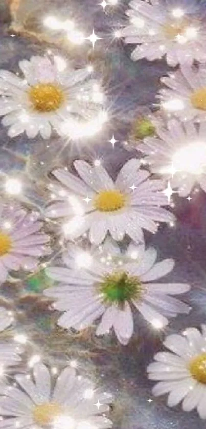 Daisies sparkling in clear blue water under sunlight.