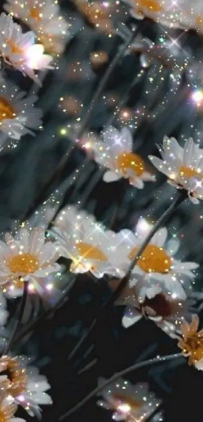 Sparkling night with daisies and stars in a floral wallpaper.