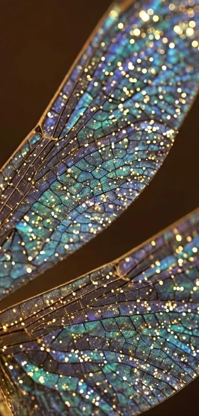Close-up of sparkling dragonfly wings with blue hues on a mobile wallpaper.