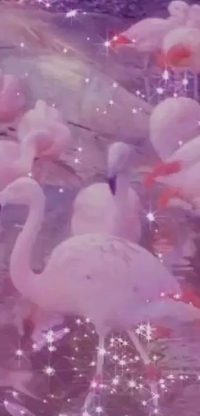 Flamingos in a sparkling pink theme background.