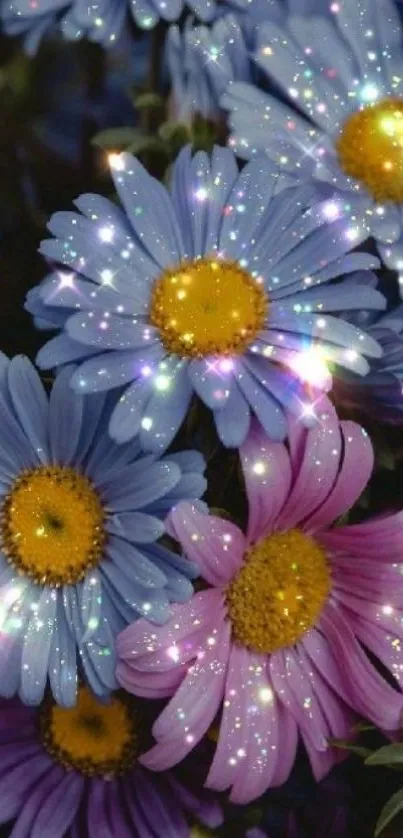 Vibrant mobile wallpaper of glittering blue and purple daisies.