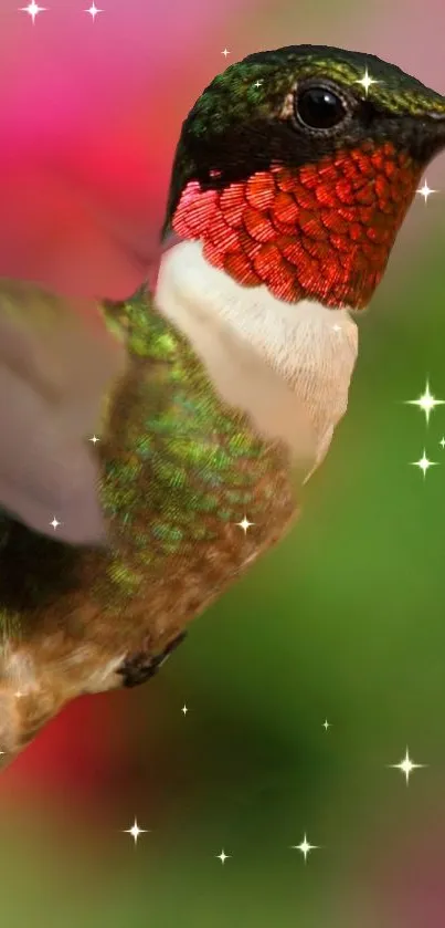 A colorful hummingbird surrounded by sparkling stars on a vibrant background.