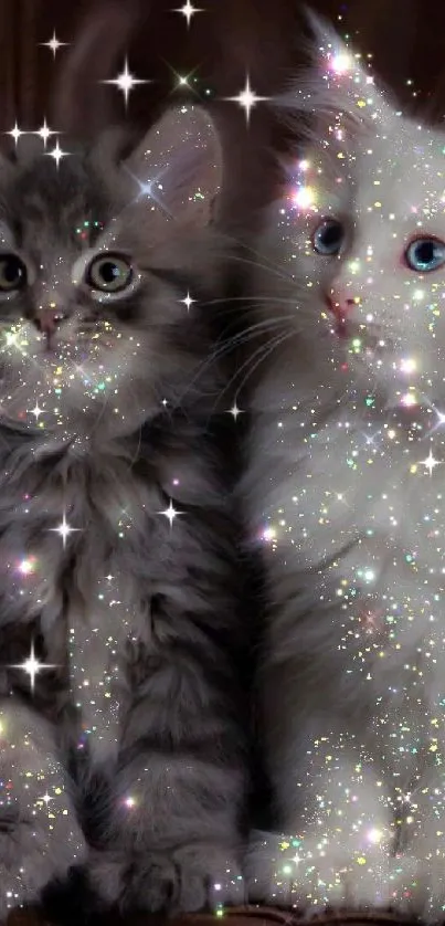 Adorable kittens with sparkling effects on mobile wallpaper.